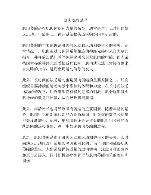 肌肉萎缩原理