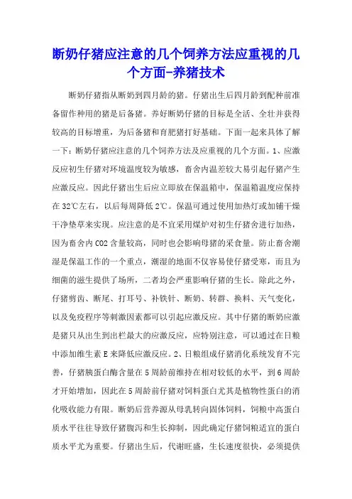 断奶仔猪应注意的几个饲养方法应重视的几个方面 - 养猪技术