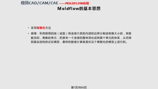 MOLDFLOW中的网格划分与处理PPT课件