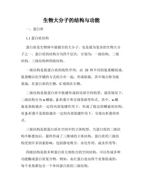 生物大分子的结构与功能