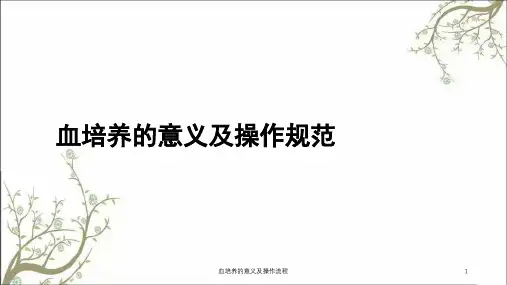 血培养的意义及操作流程课件
