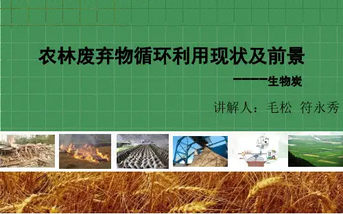 生物炭介绍ppt