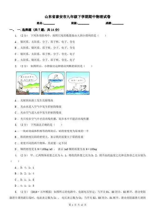 山东省泰安市九年级下学期期中物理试卷