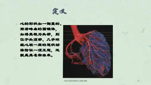 冠状动脉的解剖与冠脉造影课件