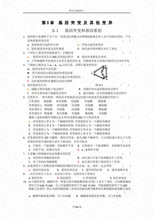 人教版试题试卷基因突变和基因重组 练习 1