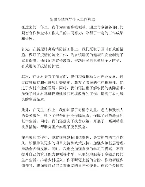 新疆乡镇领导个人工作总结