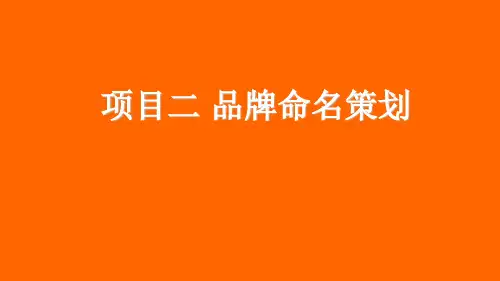 营销策划品牌命名专题讲座PPT