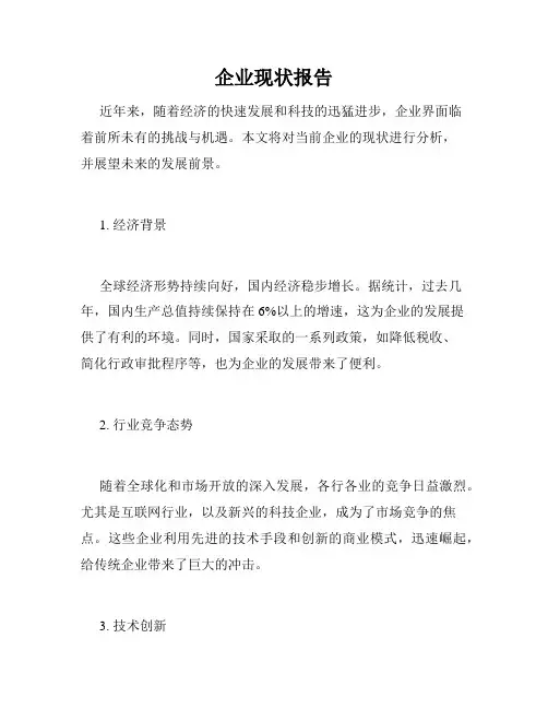 企业现状报告
