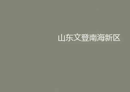 滨海新城案例研究