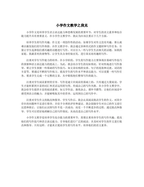 小学作文教学之我见