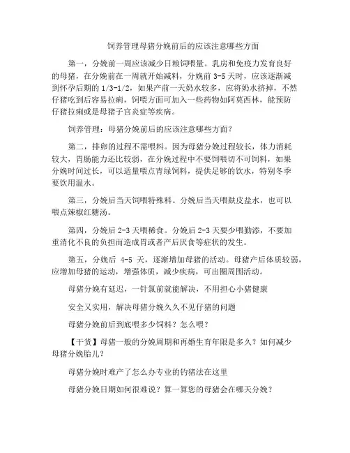 饲养管理母猪分娩前后的应该注意哪些方面