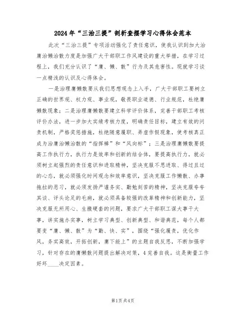 2024年“三治三提”剖析查摆学习心得体会范本(2篇)