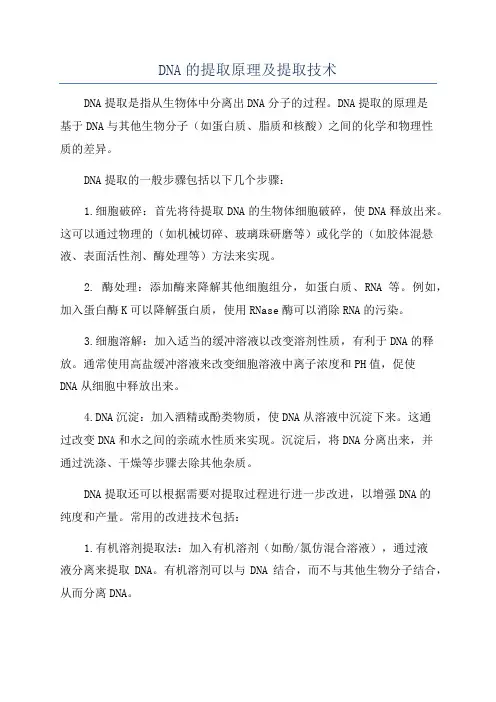 DNA的提取原理及提取技术