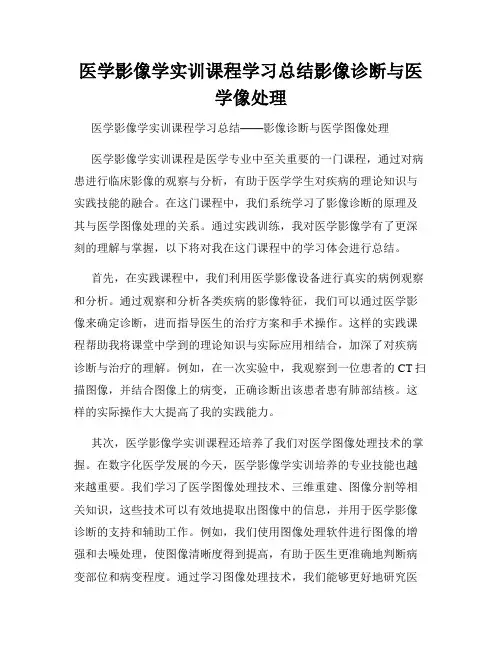 医学影像学实训课程学习总结影像诊断与医学像处理