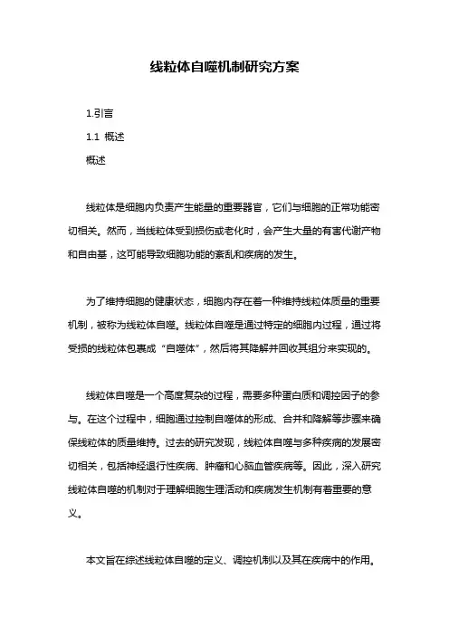 线粒体自噬机制研究方案