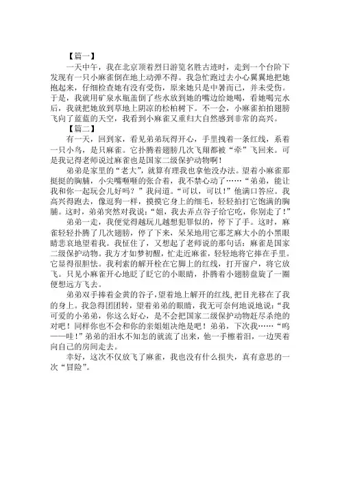 2020小学二年级受伤的麻雀作文范文精选