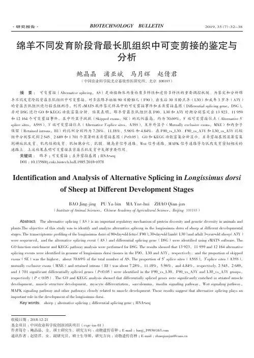 绵羊不同发育阶段背最长肌组织中可变剪接的鉴定与分析