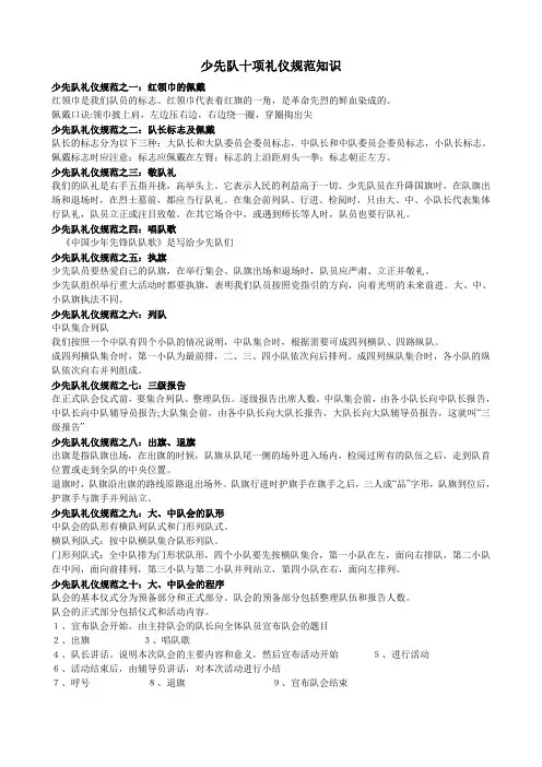 少先队十项礼仪规范知识