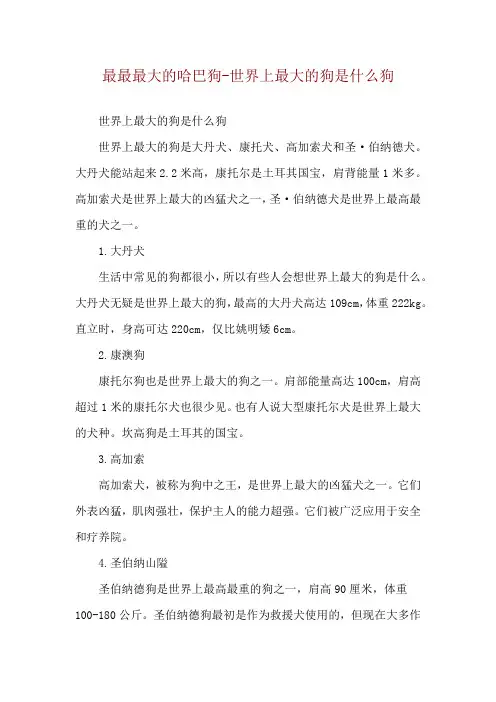 最最最大的哈巴狗-世界上最大的狗是什么狗