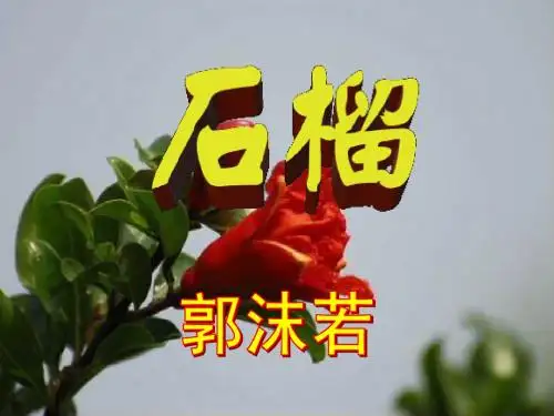 语文版七年级下第1课《石榴》精品课件