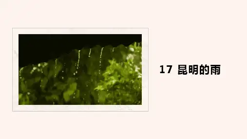 《昆明的雨》ppt课件