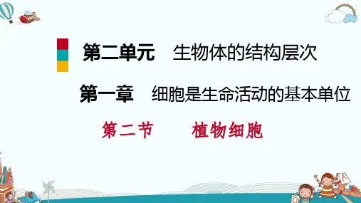 七年级生物第一章第二节第2课时 植物细胞的基本结构