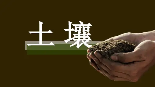 高中地理新人教版必修第一册课件5.2土壤(共30张PPT)