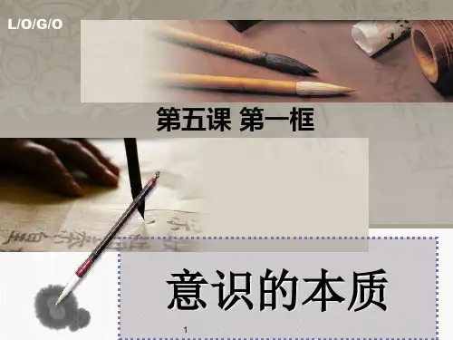 意识的本质(优秀)ppt课件