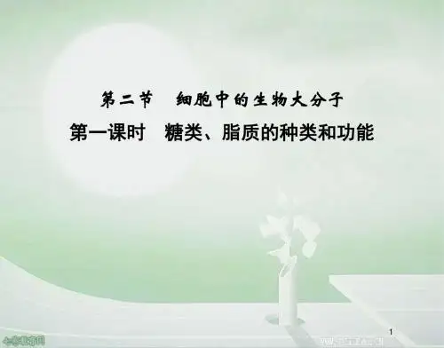 生物必修ⅰ苏教版2.2细胞中的生物大分子课件.