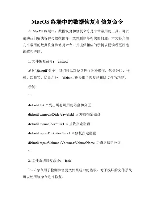 MacOS终端中的数据恢复和修复命令