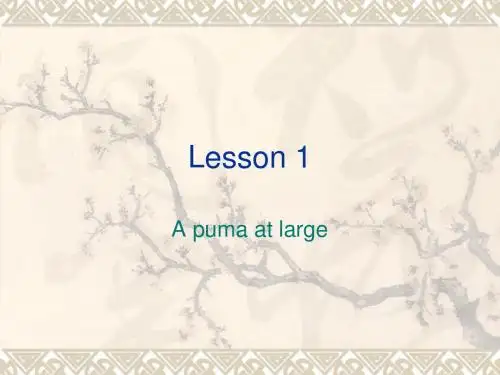 新概念英语第三册第一课课件NCE3_lesson01