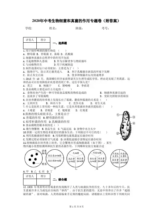 2020年中考生物细菌和真菌在生物圈中的作用专题卷(附答案)