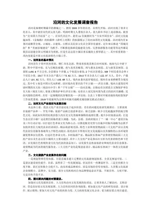 沿河的文化发展调查报告