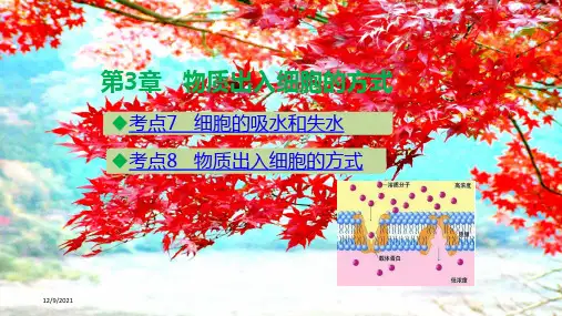 高考生物二轮复习第3章物质出入细胞的方式课件高三全册生物课件