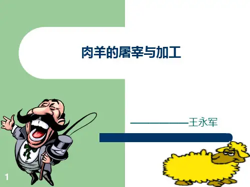 肉羊的屠宰与加工ppt课件