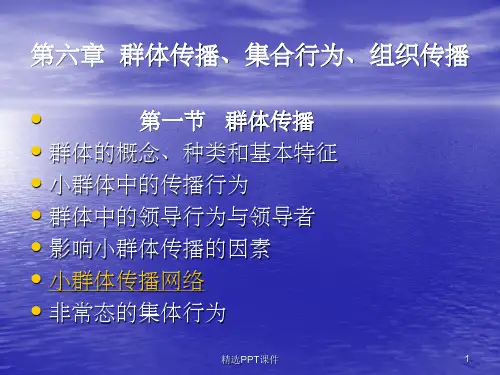 第六章  群体传播、ppt课件