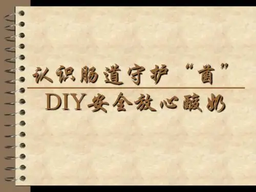 夏季酸奶DIY