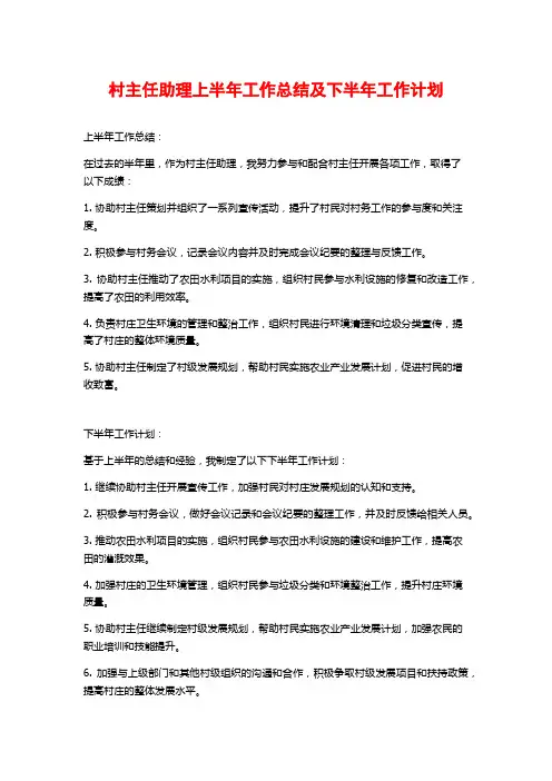 村主任助理上半年工作总结及下半年工作计划
