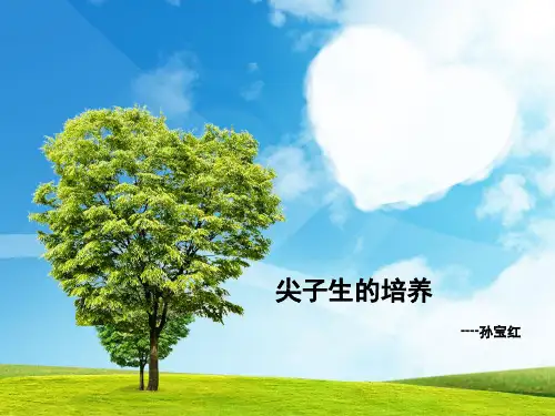尖子生的培养PPT课件