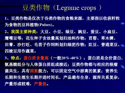 豆类作物种质资源