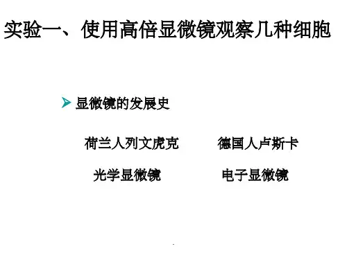 高中生物-实验一：使用高倍显微镜观察几种细胞ppt课件