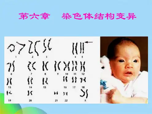 遗传学PPT6ppt(共50张PPT)
