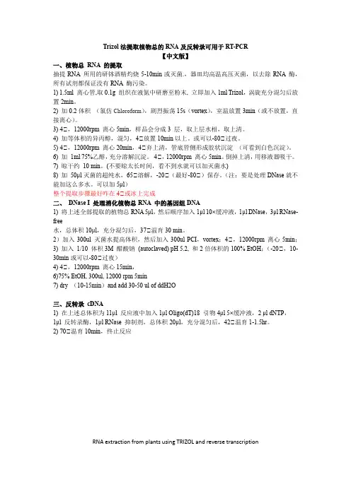 提植物总RNA及去DNA和反转录标准方法(会给实验室一大笔提取试剂盒的经费)