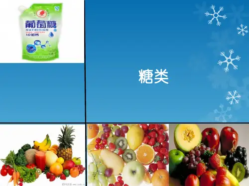 苏教化学选修 有机化学基础专题5第一单元 糖类 油脂(共22张PPT)