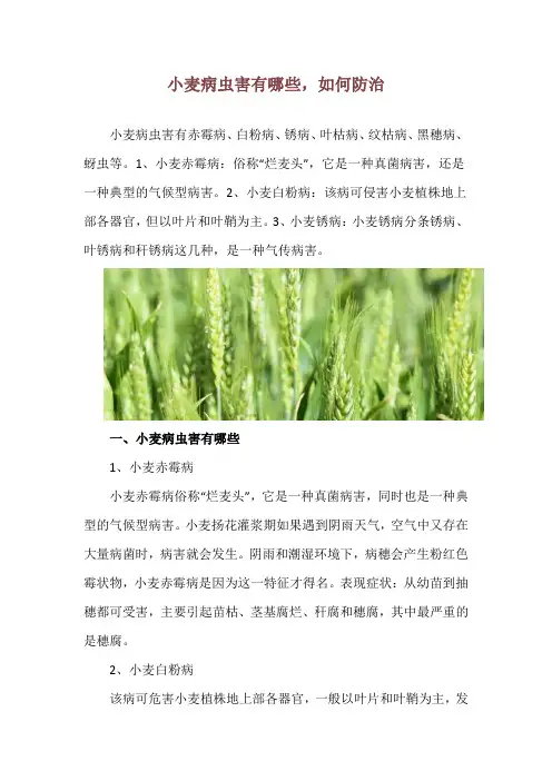 小麦病虫害有哪些,如何防治
