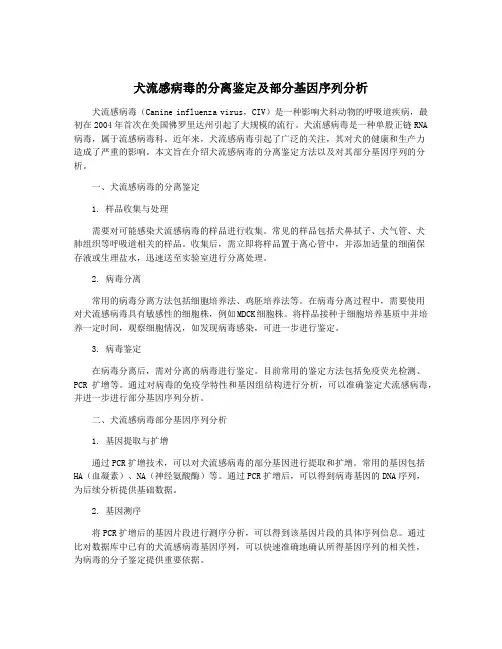 犬流感病毒的分离鉴定及部分基因序列分析