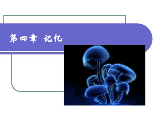 心理学  第四章 记忆