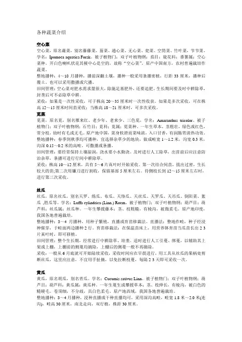 各种蔬菜介绍