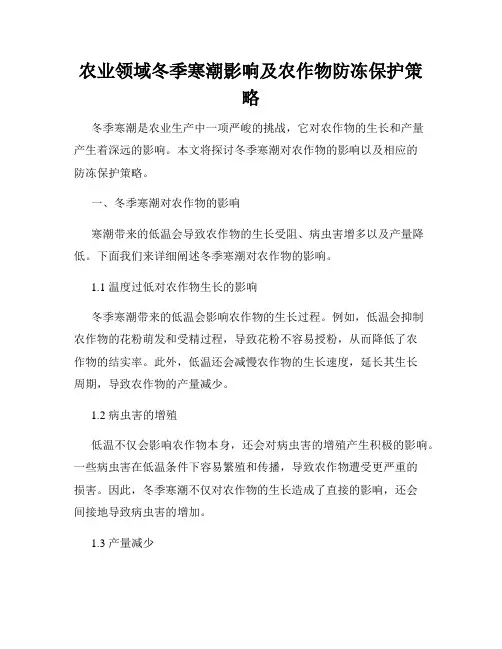 农业领域冬季寒潮影响及农作物防冻保护策略