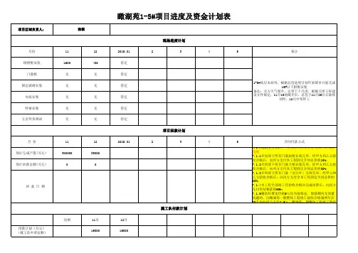 项目进度及资金计划表